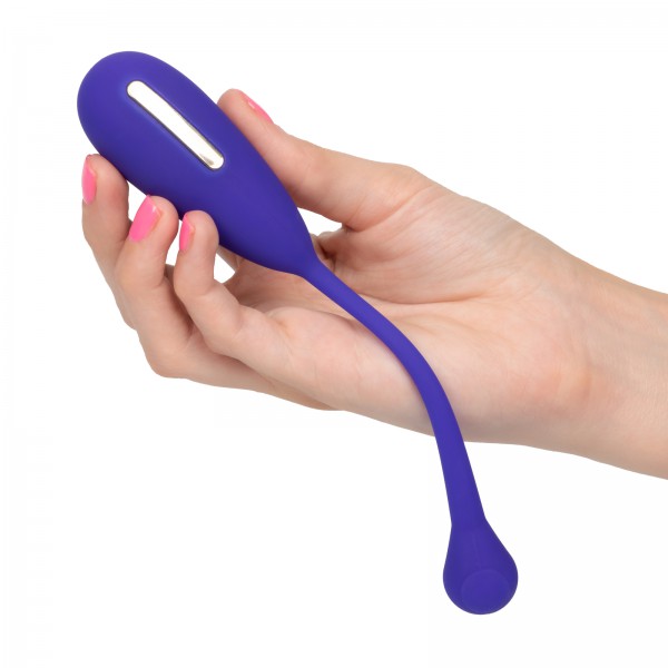 Kegel Exerciser + E-Stim