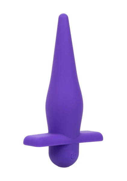 Rechargeable High Intensity Anal Probe in Purple