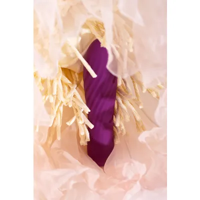 Svakom Tulip 4 1 Bullet Vibrator