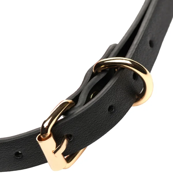 Master Series Blossom Gag