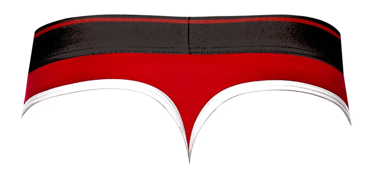 Men's Lingerie - Retro Sport Panel Thong - L- XL