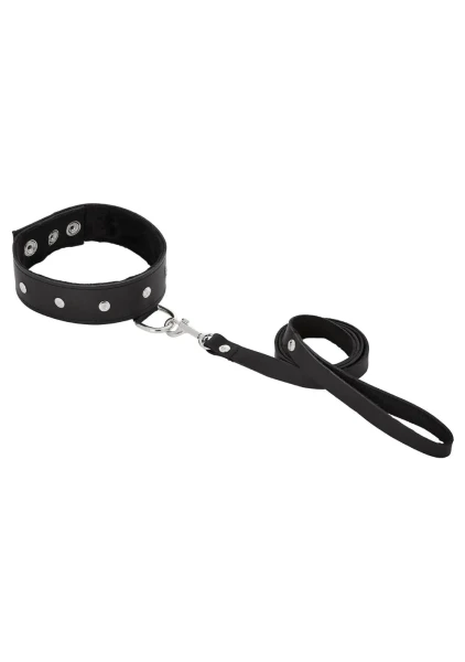 Leather Metal Studded Collar and Leash Set