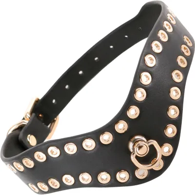Fetish Fashion Kali Collar By NS Novelties Black Gold