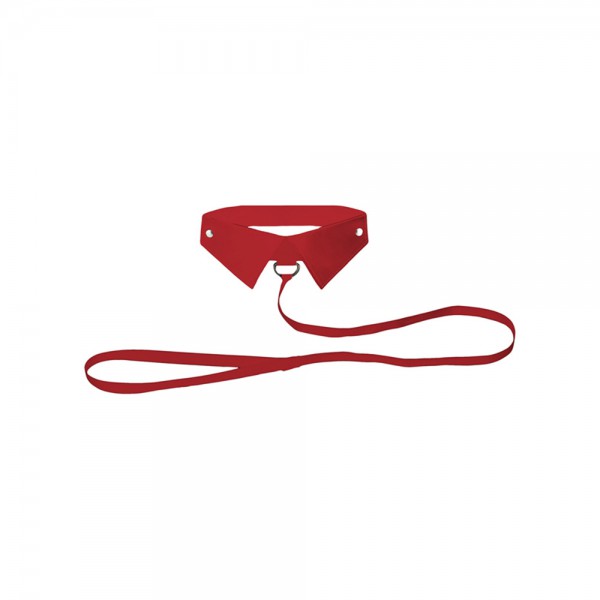 Classic Collar With Leash