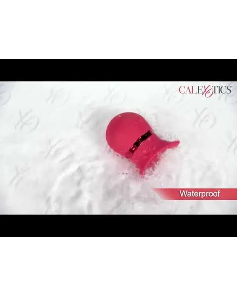 French Kiss Sweet Talker