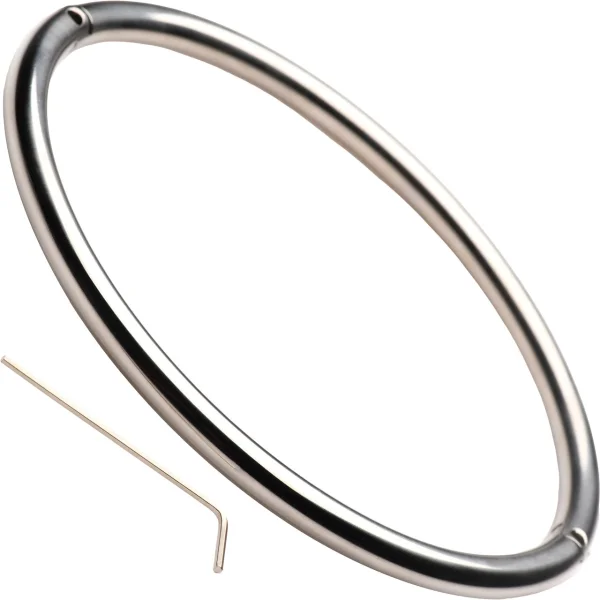 Master Series Possession Steel Lock Collar