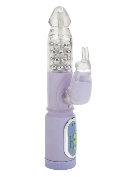 First time jack rabbit