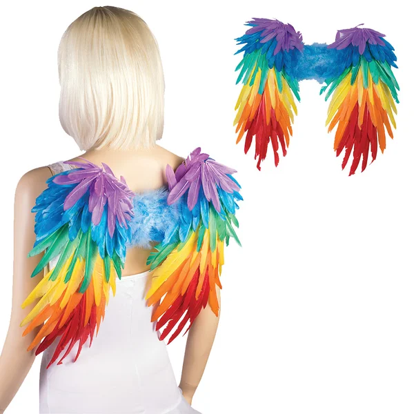 Rainbow Feather Wings — image 6 of 6