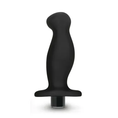 Anal Adventures Platinum Silicone Vibrating Prostate Massager 02