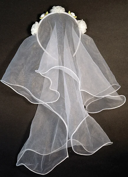 Bachelorette Bridal Veil — image 6 of 6