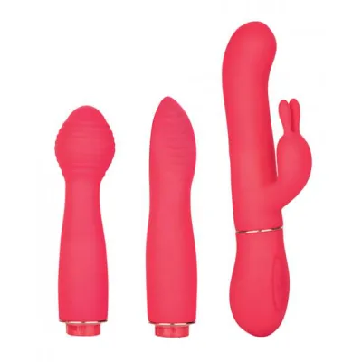 In Touch Dynamic Trio Pink Vibrator Kit