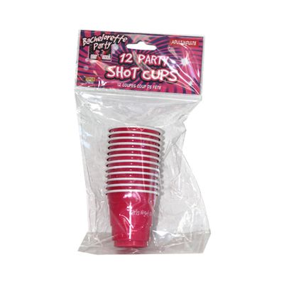 Girls Night Out Bachelorette Party Shot Glasses 12 Pack