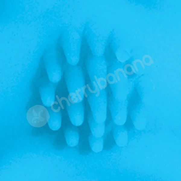 Cherry Banana Blue Twin Teaser Vibrating Cock Ring