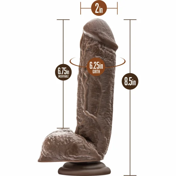 Dr. Skin Mr. D Realistic Dildo With Balls & Suction Cup by Blush - Chocolate
