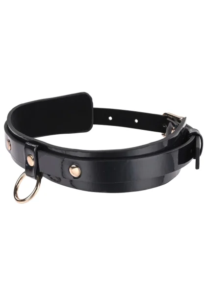 Sex & Mischief Orbit Day Collar By Sportsheets