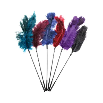 Ostrich Feather Ticklers Display assorted