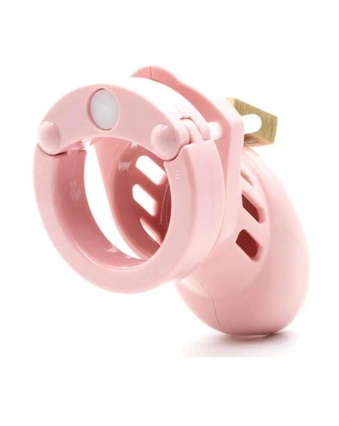 Cb-6000s 2.5 Inch Chastity Cock Cage Kit