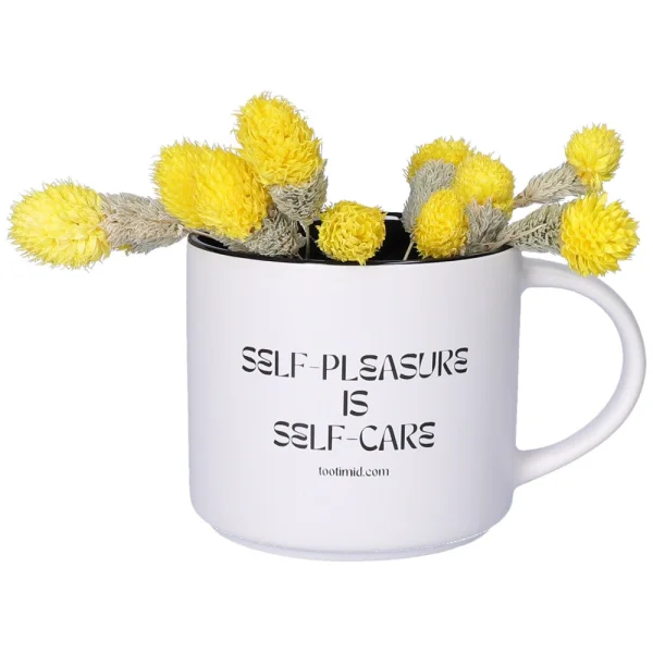 TooTimid Self-Pleasure is Self-Care Mug