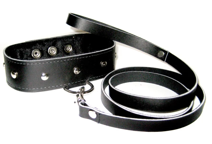 SportSheets Leather Collar and Leash — image 4 of 4