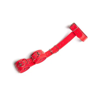 Heavy Duty Pvc Collar With Wrist Cuffs Red