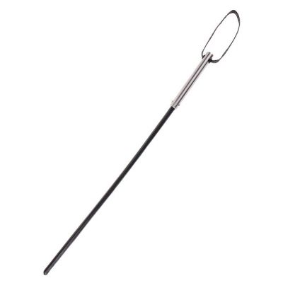 Fetish Fantasy Extreme Insane Cane