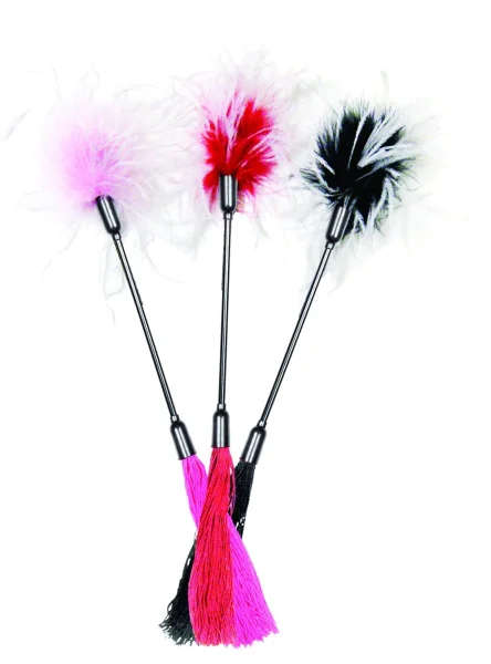 Sportsheets S&M Whip and Tickle - Red