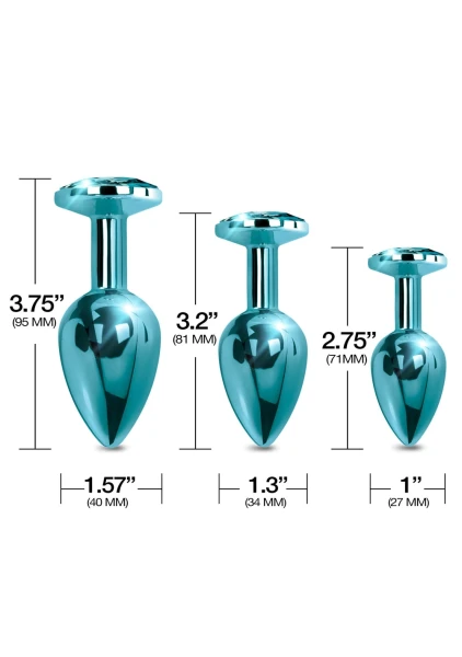 Nixie Metal Butt Plug Trainer Set