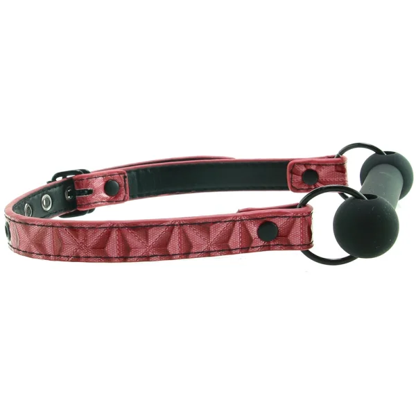 Sinful Bar Gag