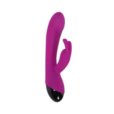 Rabbit G Spot Vibrator Duo Pink