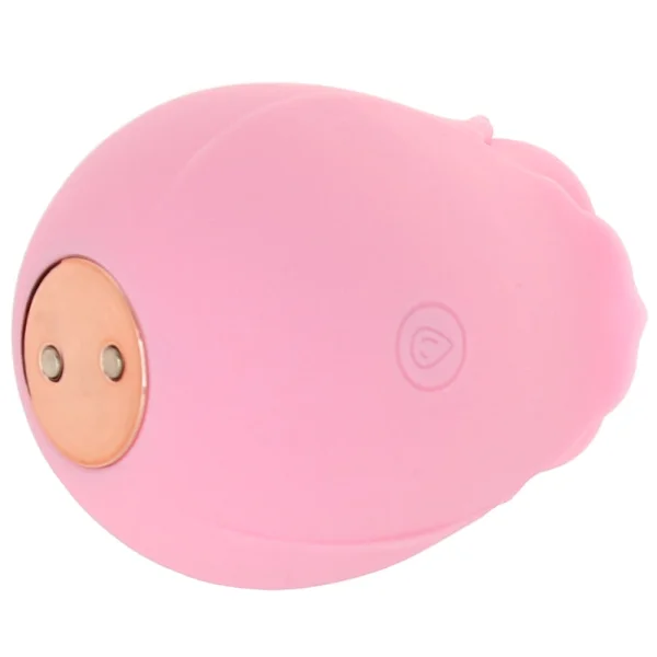 PinkCherry Rose Vibrator