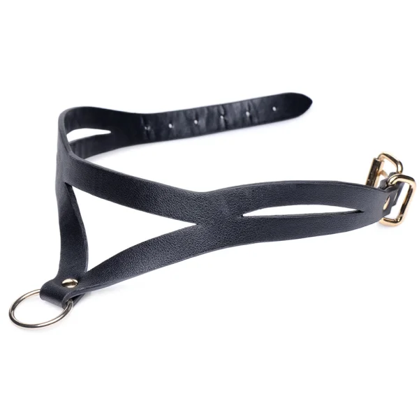 Master Series Bondage Baddie Collar and O-Ring