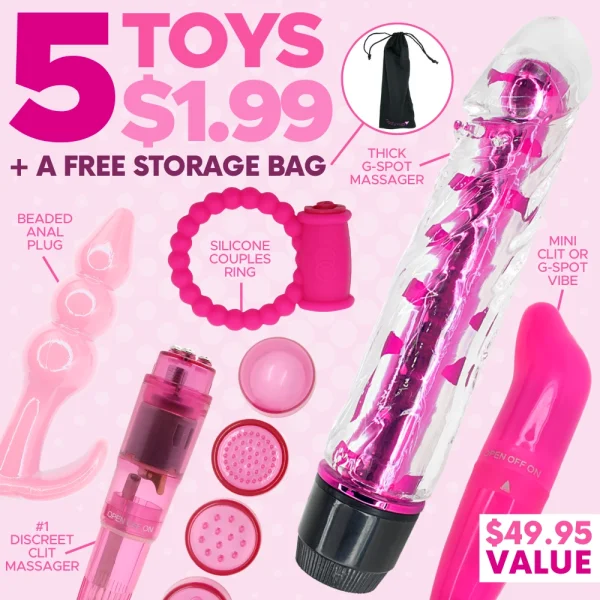 5 Toys For $1.99 + A FREE Large Toy Storage Bag *Only One Per Order - Add To Your Bag!