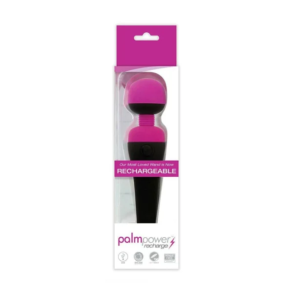 PalmPower Wand Massager