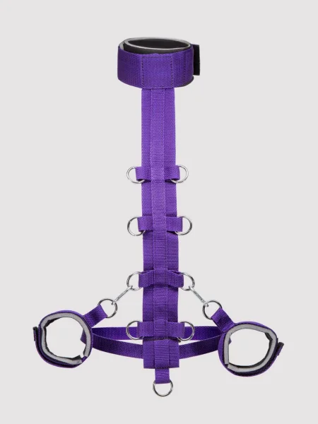 Purple Reins Beginners Restraint Harness