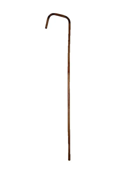 Rouge Bamboo Cane — image 4 of 4
