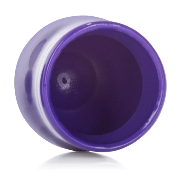 Nipple Play Mini Nipple Suckers - Purple