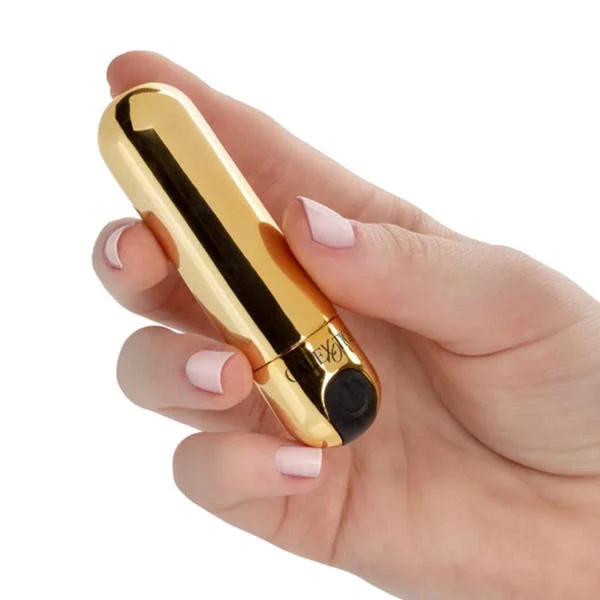 Rechargeable Hideaway Bullet