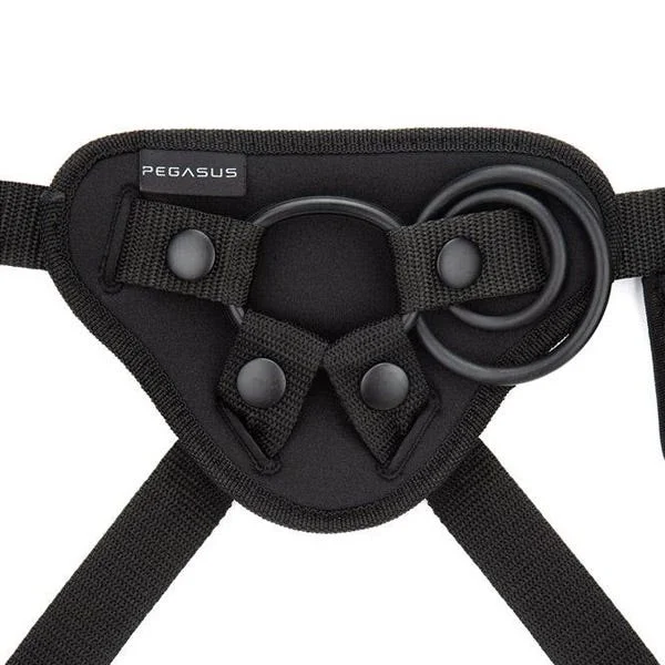 Pegasus 6-inch RC Curved Realistic and Harness