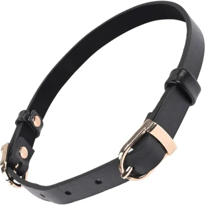 Sex Mischief Double Buckle Day Collar By Sportsheets Black Gold