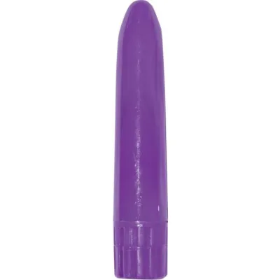 Iridescent Vibe Massager 10 Functions Waterproof Purple