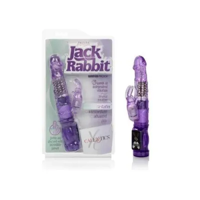 Petite Jack Rabbit Purple