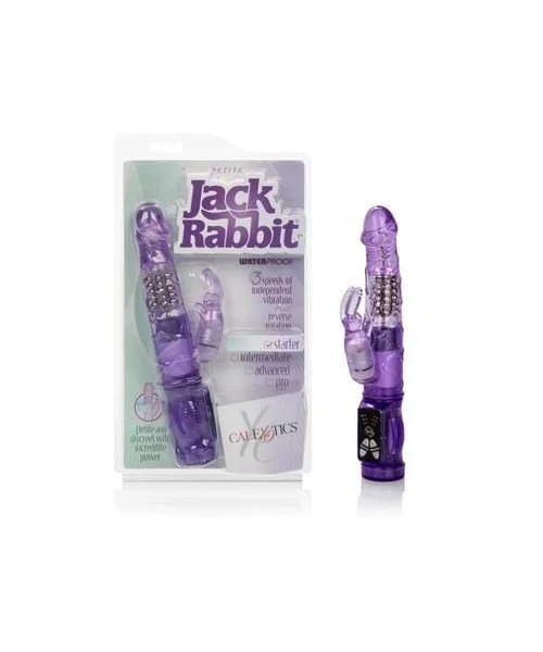 Petite Jack Rabbit - Purple