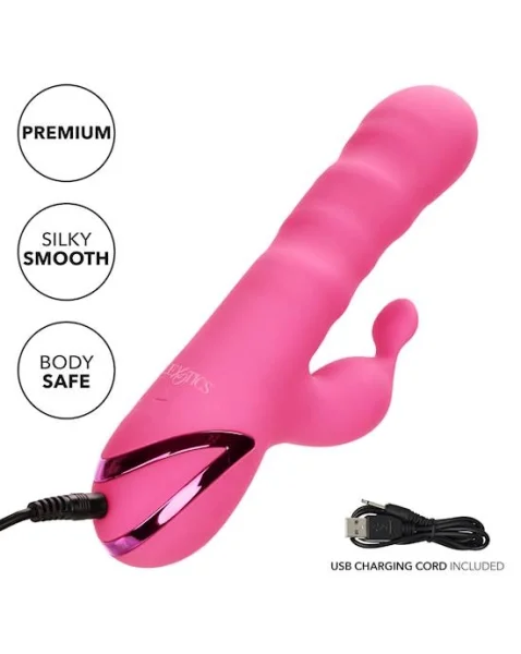 California Dreaming Santa Barbara