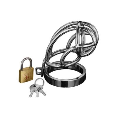 Captus Stainless Steel Locking Chastity Cage Silver