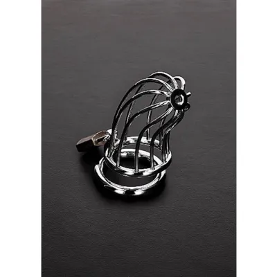 Bird Cage Chastity Device Silver