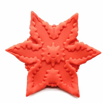 Starsi Cute Little Fuckers