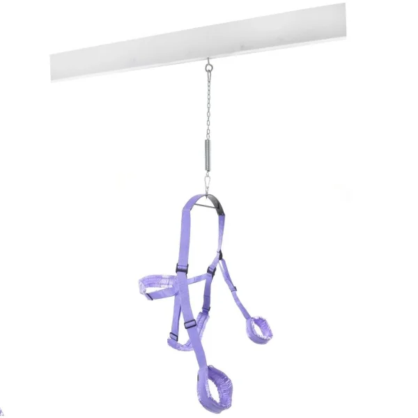 Fantasy Swing Purple