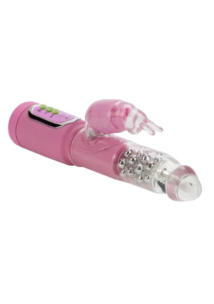 First time jack rabbit