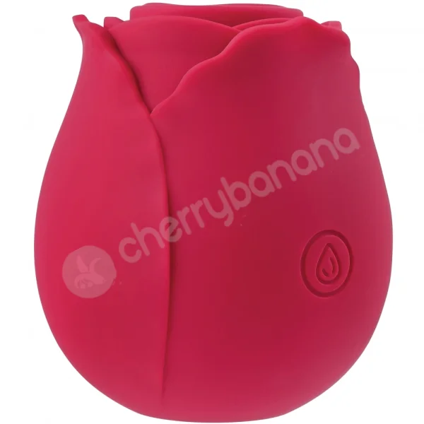 Cherry Banana Red Rose 10 Function Clitoral Suction Toy