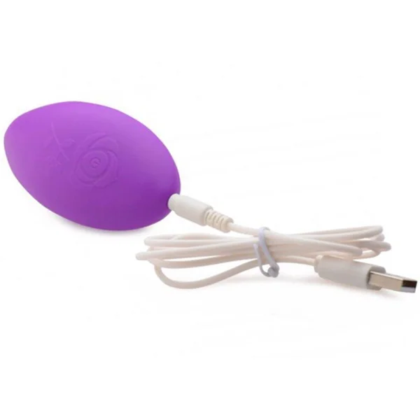 Naughty Remote Control Panty Vibrator